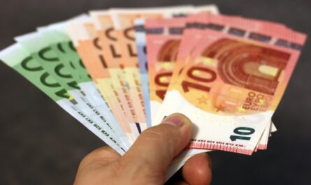 Euro-Geldscheine in Hand
